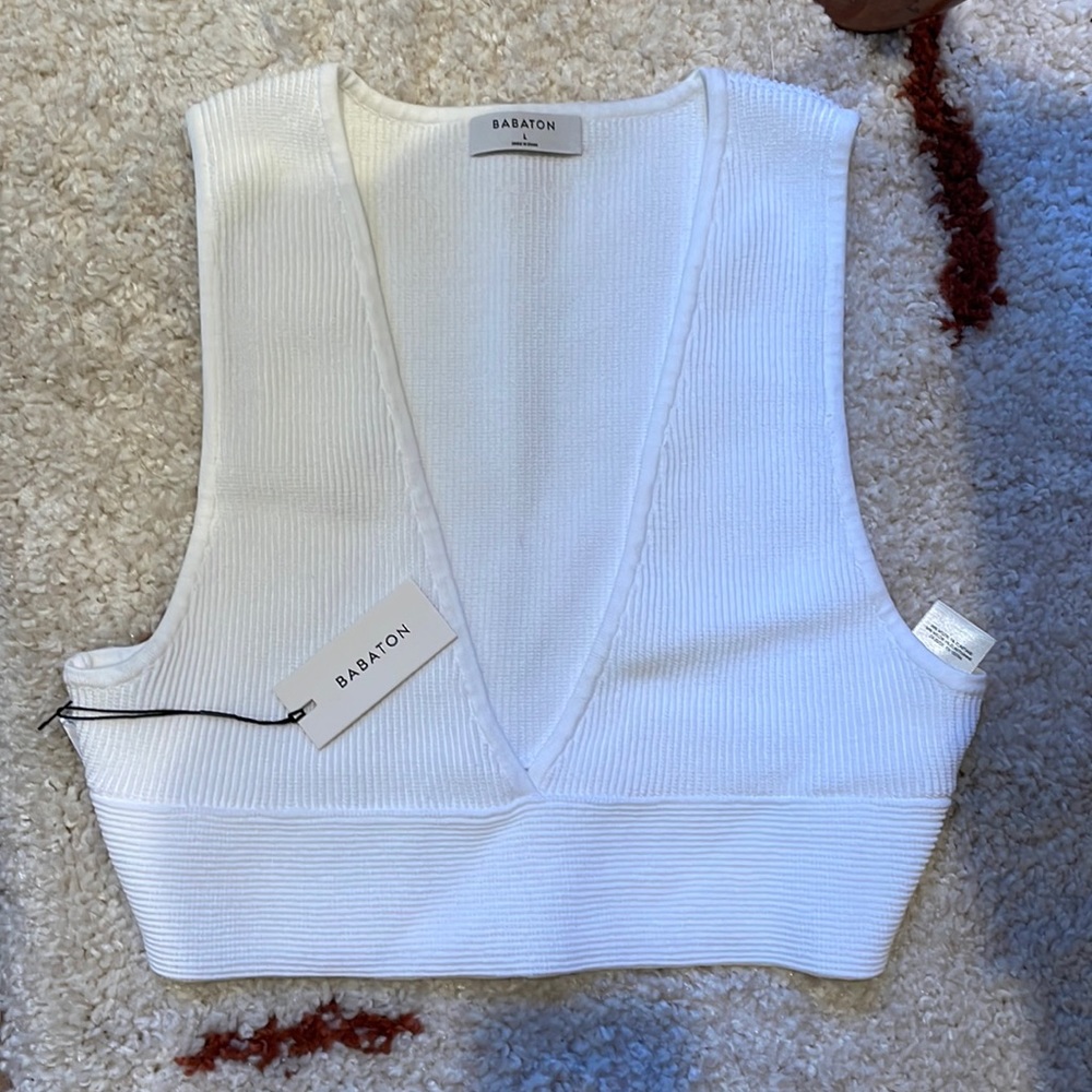 Babaton Aritzia Sculpt Knit Deep V Tank